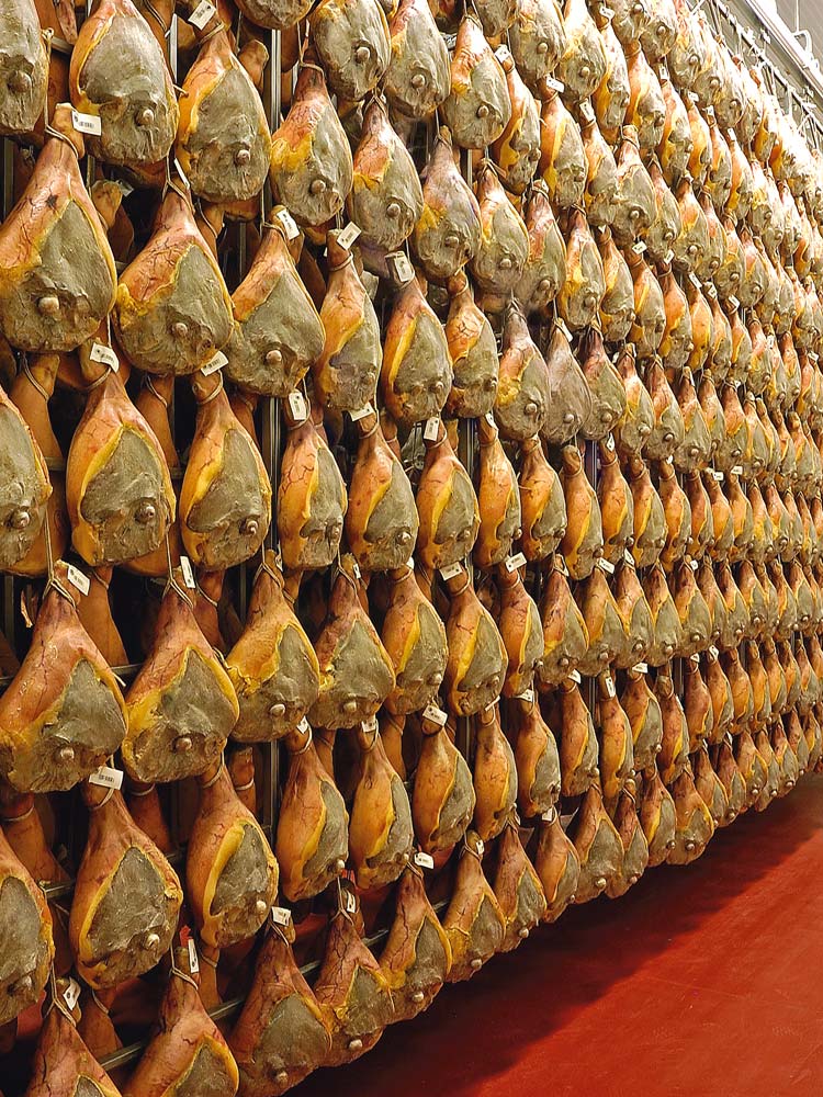 prosciutto crudo marchigiano prosciuttificio faleria